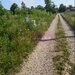 650 mp de liniste, natura si aer curat in Brebu, Prahova